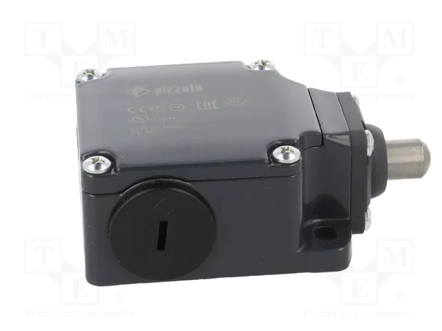 PIZZATO ELETTRICA Interruptor de fin de carrera FL 508 con espárrago Ø10mm