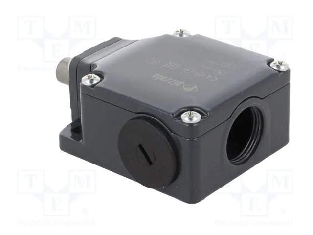 PIZZATO ELETTRICA Interruptor de fin de carrera FL 508 con espárrago Ø10mm