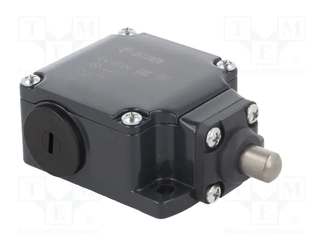 PIZZATO ELETTRICA Interruptor de fin de carrera FL 508 con espárrago Ø10mm
