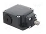PIZZATO ELETTRICA Interruptor de fin de carrera FL 508 con espárrago Ø10mm