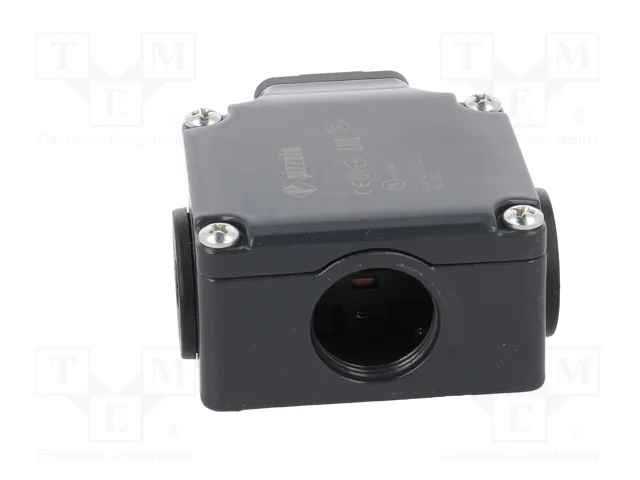 PIZZATO ELETTRICA Interruptor de fin de carrera FL 508 con espárrago Ø10mm