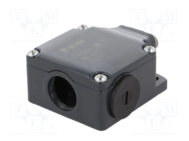 PIZZATO ELETTRICA Interruptor de fin de carrera FL 508 con espárrago Ø10mm