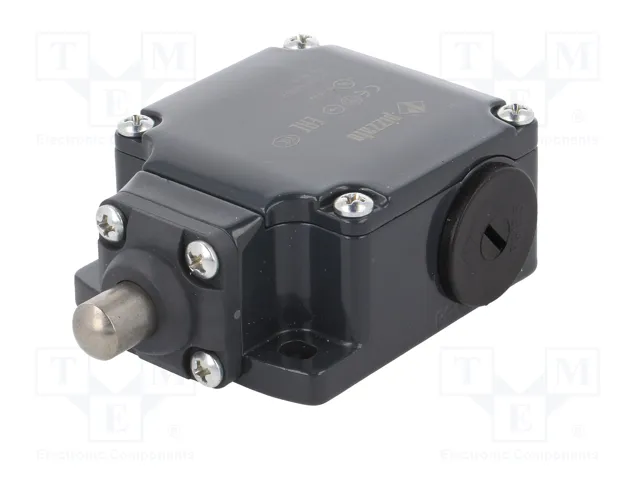 PIZZATO ELETTRICA Interruptor de fin de carrera FL 508 con espárrago Ø10mm