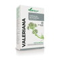 Soria Natural 34 S Valeriana Fórmula XXI 30 cápsulas