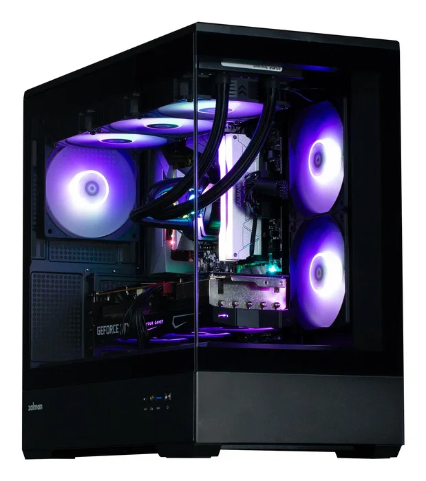 ZALMAN Zalman P30 BW Negro