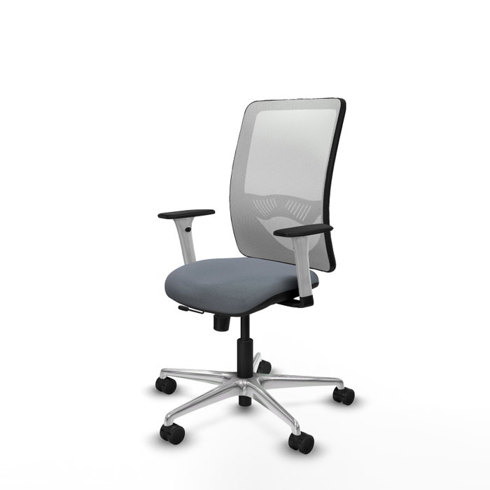 PIQUERAS Y CRESPO Silla de oficina Zulema con mecanismo Sincro/Traslack, Gris y Blanco PIQUERAS Y CRESPO Silla de oficina Zulema con mecanismo Sincro/Traslack, Gris y Blanco