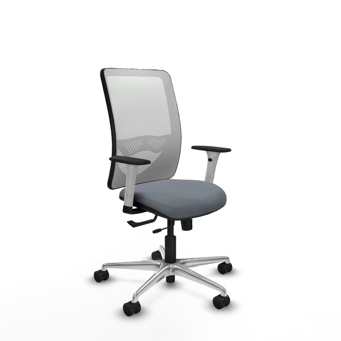 PIQUERAS Y CRESPO Silla de oficina Zulema con mecanismo Sincro/Traslack, Gris y Blanco PIQUERAS Y CRESPO Silla de oficina Zulema con mecanismo Sincro/Traslack, Gris y Blanco