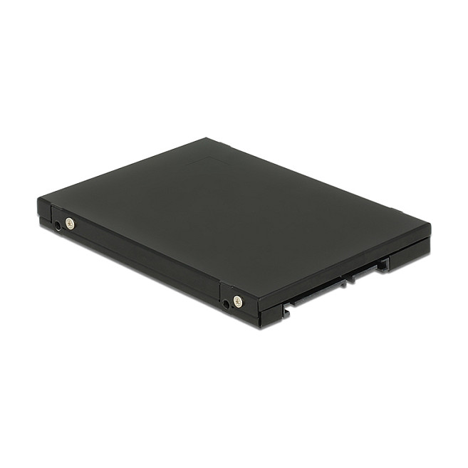 DeLOCK 62866 Convertidor SATA a M.2 y mSATA
