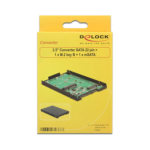 DeLOCK 62866 Convertidor SATA a M.2 y mSATA