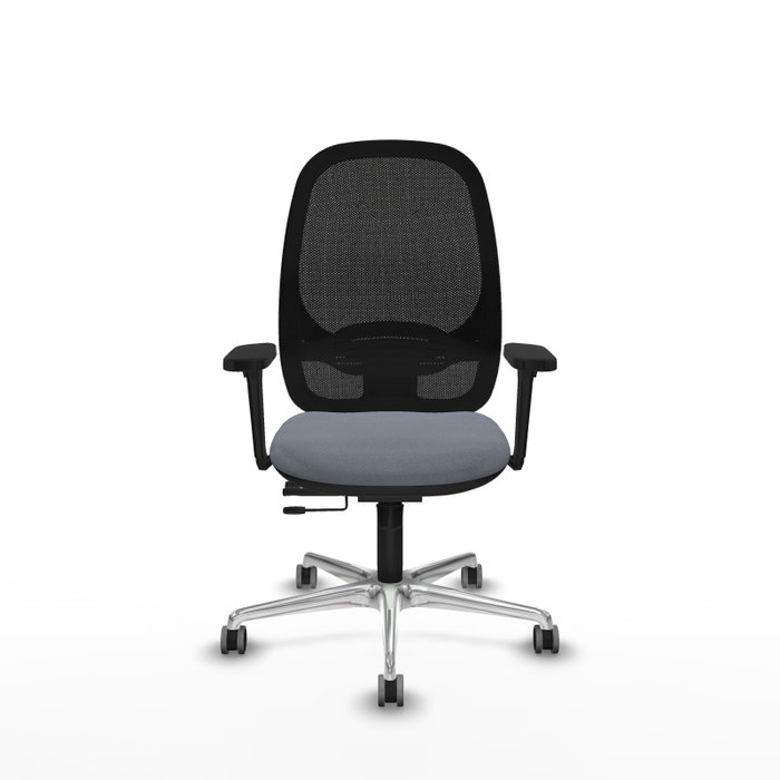 PIQUERAS Y CRESPO Silla de oficina Cilanco con mecanismo Sincro/Traslack, Gris y Negro PIQUERAS Y CRESPO Silla de oficina Cilanco con mecanismo Sincro/Traslack, Gris y Negro