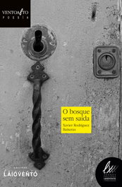 O BOSQUE SEM SAÍDA, Xavier Rodriguez Baixeras - LAIOVENTO, S.L.