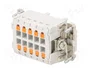 LAPP Conector HDC EPIC H-BE Hembra 10 Pines