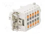 LAPP Conector HDC EPIC H-BE Hembra 10 Pines