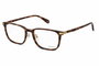 Polaroid PLD-D426-G-086 Gafas de vista marrón para hombre
