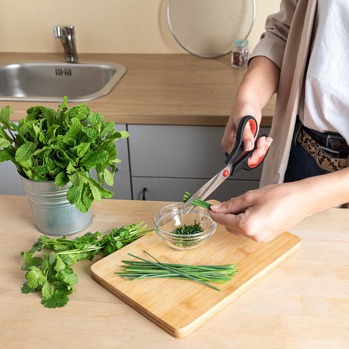 Tijeras Acero Inoxidable Rico Quid 21 cm