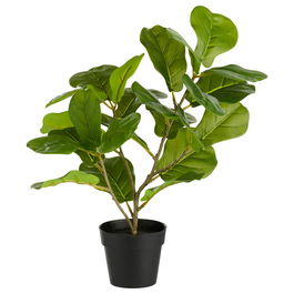Day Planta Artificial Higo Ficus Lyrata altura 40 cm Plástico