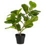 Day Planta Artificial Higo Ficus Lyrata de 40 cm, en Maceta Negra de Plástico, Ideal para Decoración de Interiores sin Luz Natural