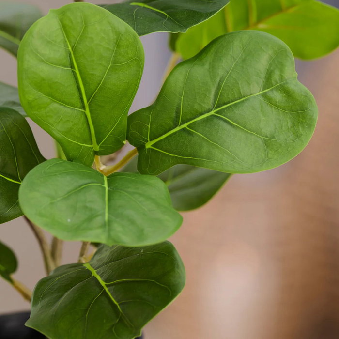 Day Planta Artificial Higo Ficus Lyrata de 40 cm, en Maceta Negra de Plástico, Ideal para Decoración de Interiores sin Luz Natural