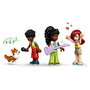 LEGO Friends Tienda de Música y Apartamento