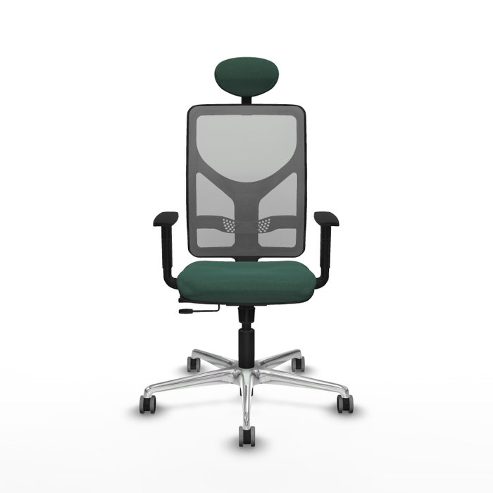 PIQUERAS Y CRESPO Silla de oficina Motilla con mecanismo Sincro/Traslack Verde botella y Gris PIQUERAS Y CRESPO Silla de oficina Motilla con mecanismo Sincro/Traslack Verde botella y Gris