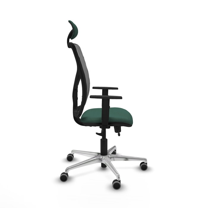 PIQUERAS Y CRESPO Silla de oficina Motilla con mecanismo Sincro/Traslack Verde botella y Gris PIQUERAS Y CRESPO Silla de oficina Motilla con mecanismo Sincro/Traslack Verde botella y Gris