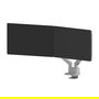 Neomounts DS70-250SL2 Brazo de Monitor 17-32" 2 Pantallas 9kg Plata