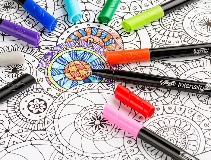 Bic Intensity Fine Rotulador de fibra Punta 0,4 mm Expositor 192 unidades Colores surtidos