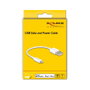 DeLOCK Cable USB 2.0 a Lightning 0,15 m Blanco