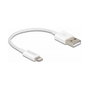 DeLOCK Cable USB 2.0 a Lightning 0,15 m Blanco