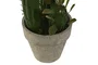 DKD Home Decor Planta Cactus Verde Foam PP 10x12x28