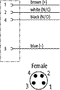 MURRELEKTRONIK Cable para sensores M12 hembra angular 15m