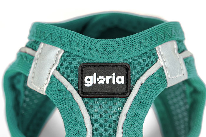 Gloria Arnés-Vestido Air Mesh Trek Star Turquesa XXS Gloria Arnés-Vestido Air Mesh Trek Star Turquesa XXS