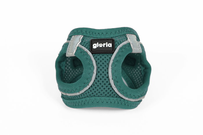 Gloria Arnés-Vestido Air Mesh Trek Star Turquesa XXS Gloria Arnés-Vestido Air Mesh Trek Star Turquesa XXS
