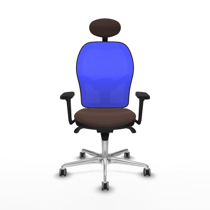 PIQUERAS Y CRESPO Silla de oficina Jorquera con mecanismo Sincro, Marrón oscuro y Azul PIQUERAS Y CRESPO Silla de oficina Jorquera con mecanismo Sincro, Marrón oscuro y Azul