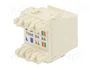 PANDUIT Conector RJ45 hembra Cat 6a blanco