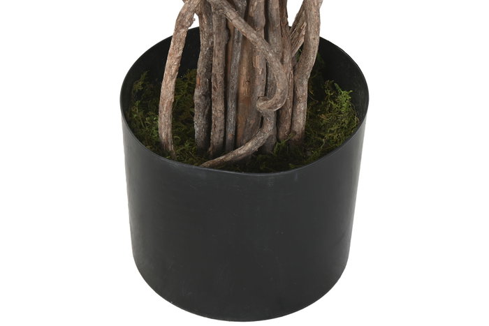 DKD Home Decor Árbol Azalea Fucsia 80x80x150 cm