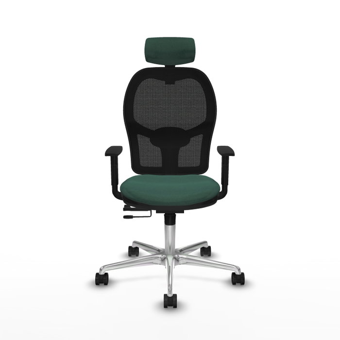 PIQUERAS Y CRESPO Silla de oficina Jorquera con mecanismo Sincro/Traslack, Verde botella y Negro PIQUERAS Y CRESPO Silla de oficina Jorquera con mecanismo Sincro/Traslack, Verde botella y Negro