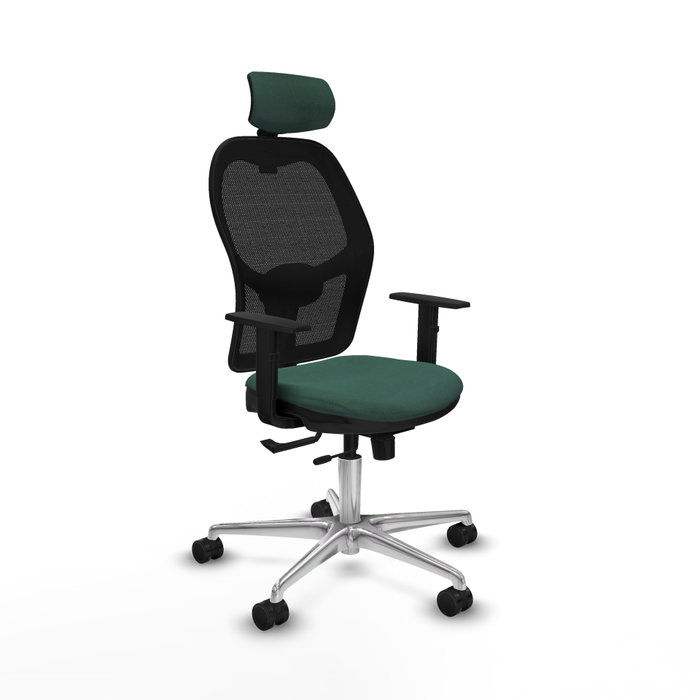 PIQUERAS Y CRESPO Silla de oficina Jorquera con mecanismo Sincro/Traslack, Verde botella y Negro PIQUERAS Y CRESPO Silla de oficina Jorquera con mecanismo Sincro/Traslack, Verde botella y Negro