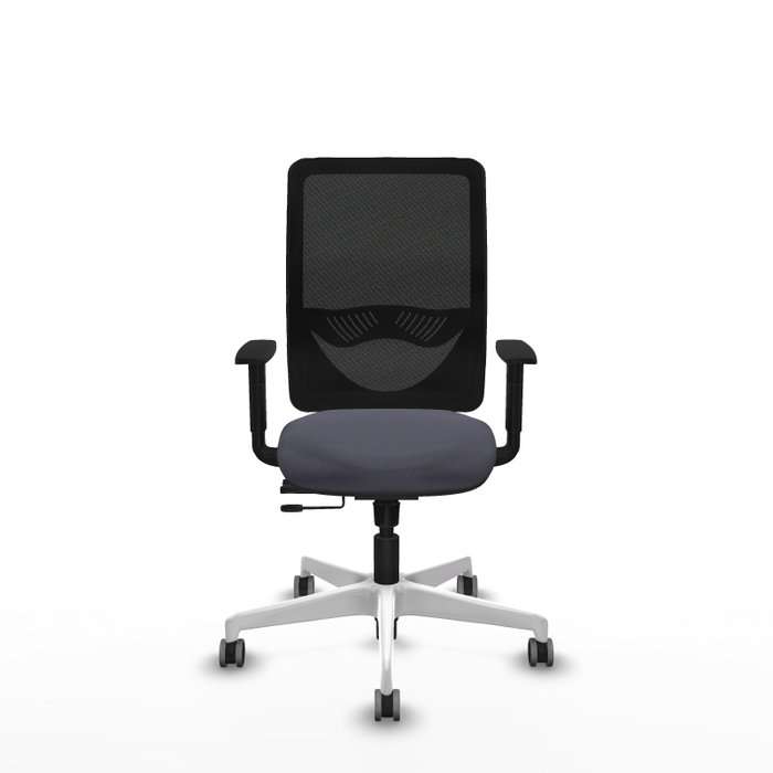 PIQUERAS Y CRESPO Silla de oficina Zulema Gris oscuro y Negro PIQUERAS Y CRESPO Silla de oficina Zulema Gris oscuro y Negro