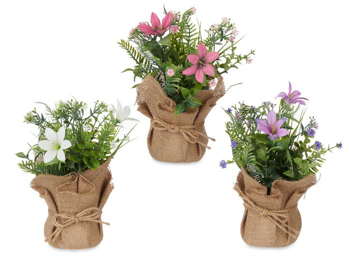 IBERGARDEN Planta Saco Flores Mediana Surtidos Colores 10x26x10 cm (Set de 18)