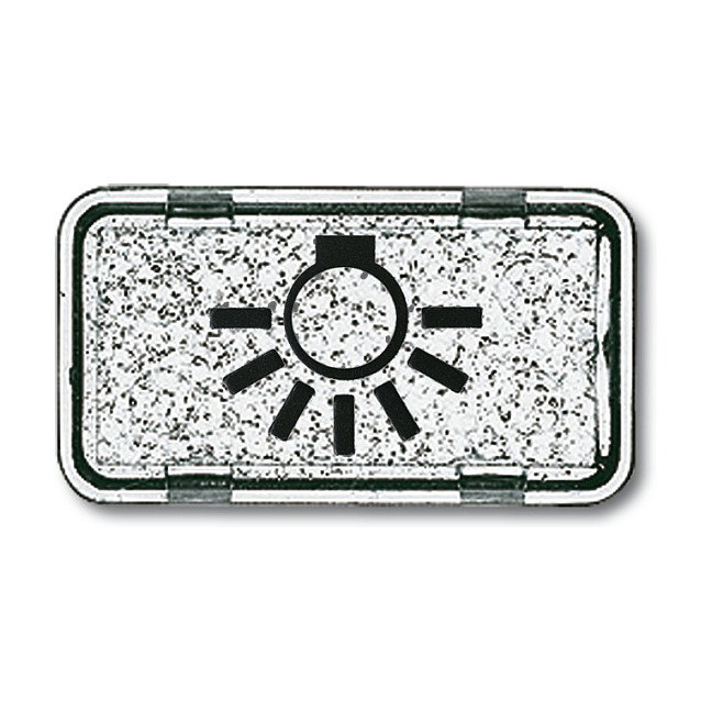 BUSCH-JAEGER Busch-Jaeger 2622 LI-101 Tastersymbol Licht Allwetter 44 glasklar BUSCH-JAEGER Busch-Jaeger 2622 LI-101 Tastersymbol Licht Allwetter 44 glasklar