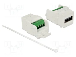 DeLOCK 86376 Módulo Keystone USB 2.0 A hembra a terminal de bloque blanco