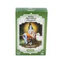 Radhe Shyam Champú Ayurvédico Polvo Aritha