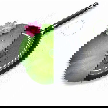 Fissler 159-120-28-100/0 Levital Comfort Sartén 28cm Antiadherente Apta para Inducción Cookstar