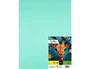 Liderpapel Cartulina Verde 50x65 cm 240g/m2 Paquete de 25 Hojas