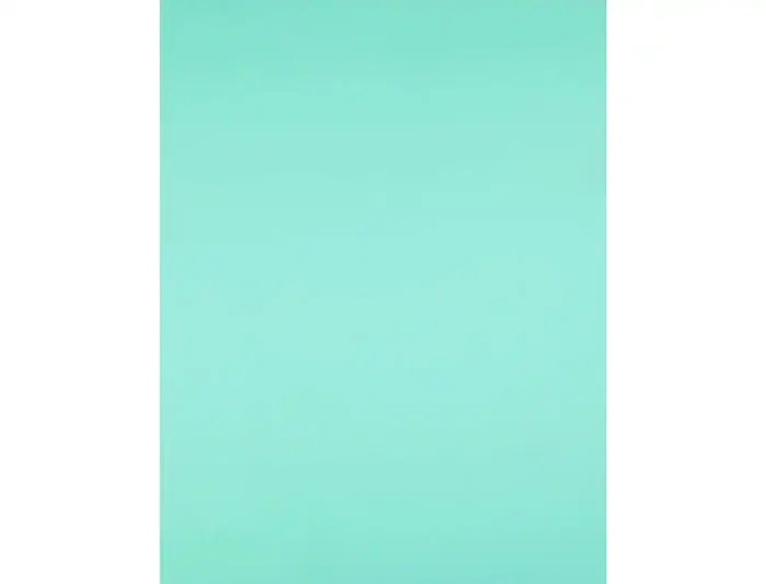 Liderpapel Cartulina Verde 50x65 cm 240g/m2 Paquete de 25 Hojas