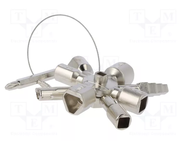 PROLINE Llave de armarios de control