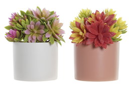 DKD Home Decor Planta Lotus Surtido 2 Colores en Gres