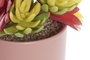 DKD Home Decor Planta Lotus Surtido 2 Colores en Gres