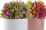 DKD Home Decor Planta Lotus Surtido 2 Colores en Gres